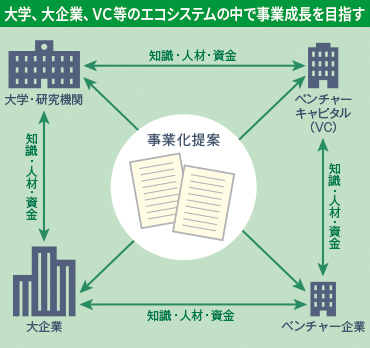 ２種類のメンタリングを実施